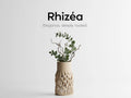 Rhizéa – Elegance, deeply rooted.