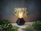 FormaCraft Elowen Fern — Organic Table Lamp