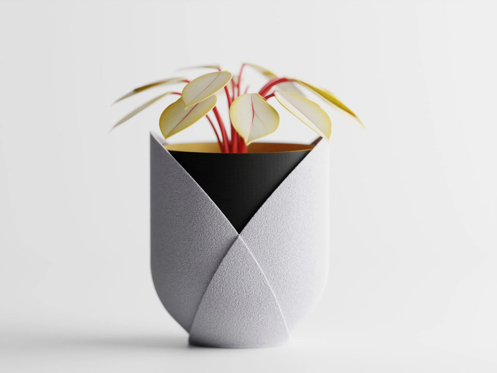 Elyndra – Wrapped in form. Defined by color.