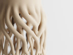 Rhizéa – Elegance, deeply rooted.