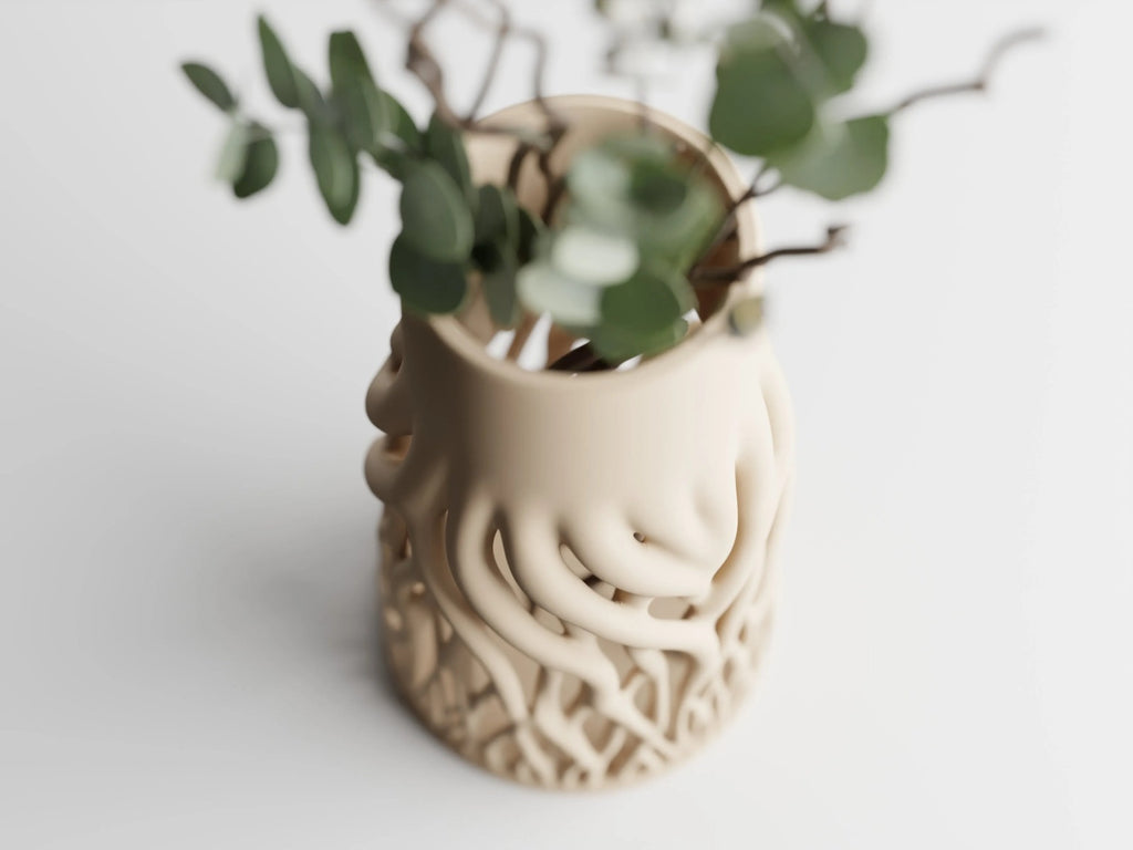 Rhizéa – Elegance, deeply rooted.
