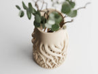 Rhizéa – Elegance, deeply rooted.