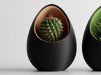 Nest Planter