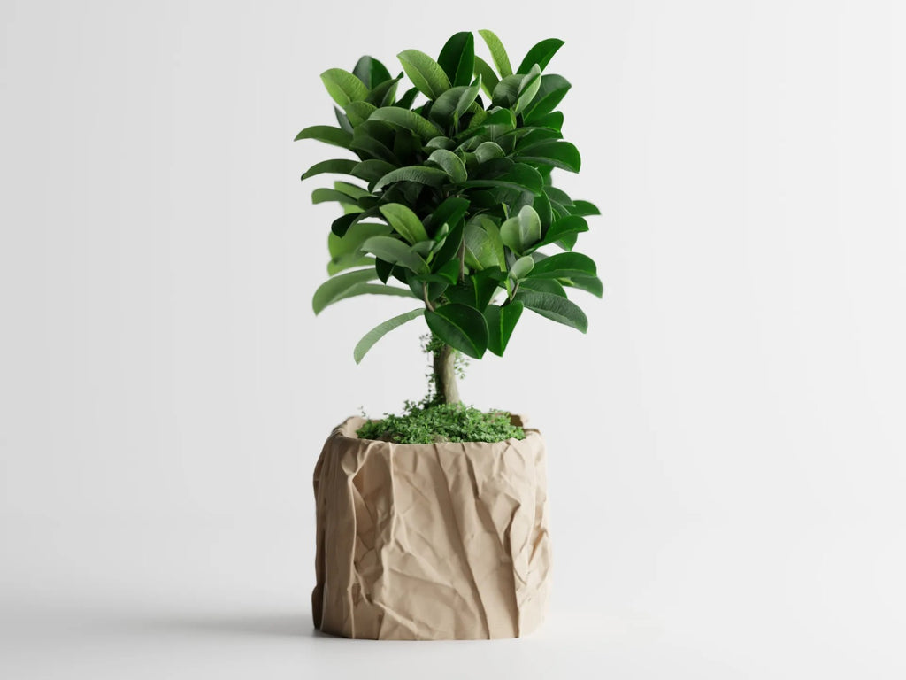 Crumbled Paper Pot – Now Available in Square Form!