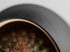 Nest Planter