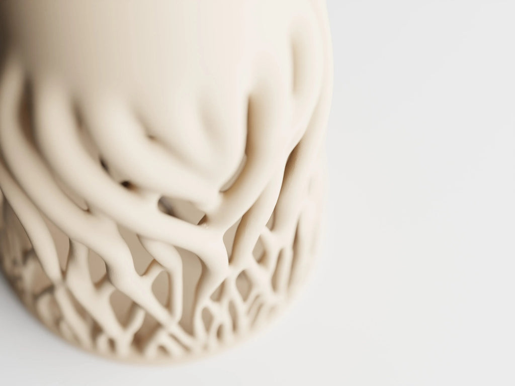 Rhizéa – Elegance, deeply rooted.