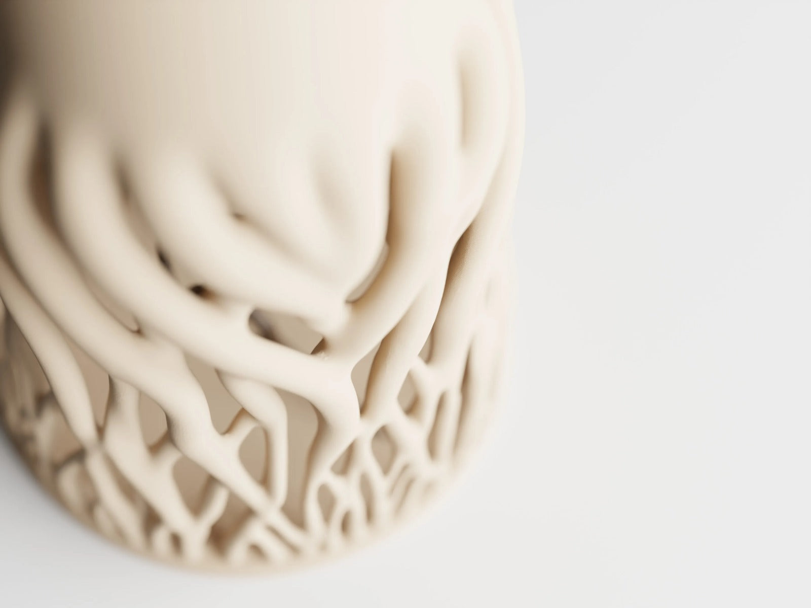 Rhizéa – Elegance, deeply rooted.