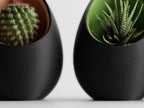 Nest Planter